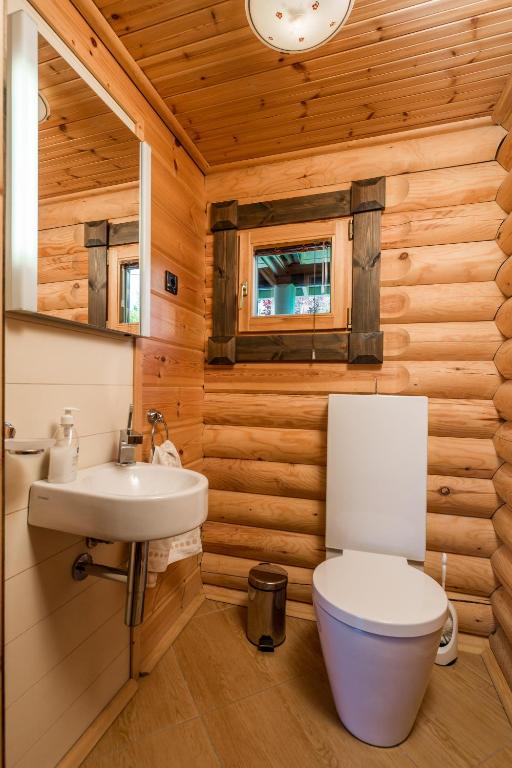 a bathroom with a white toilet and a sink at Holiday House Abies in Ravna Gora