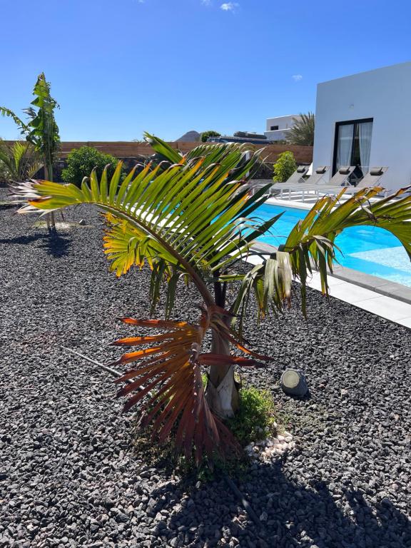 Bazén v ubytování Villa Valentina, Piscine chauffée et Sérénité nebo v jeho okolí