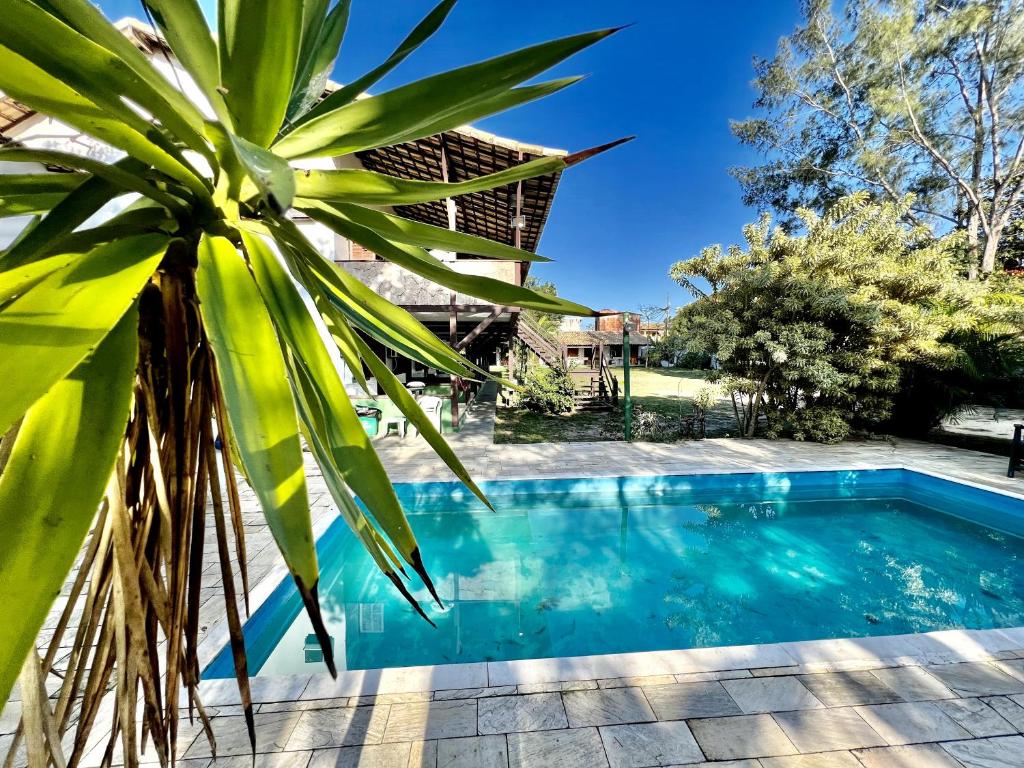 a palm tree next to a small swimming pool at Búzios Flat Pousada in Búzios