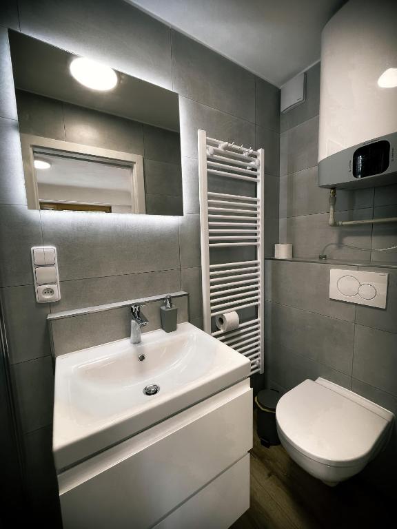 U Králíka, přízemní bezbarierové apartmány A,B,C,D - 50 metrů od vleku - přejdete v lyžácích, pod bobovou dráhou, parkování zdarma, lyžárna s vysoušeči bot, - 一居室公寓