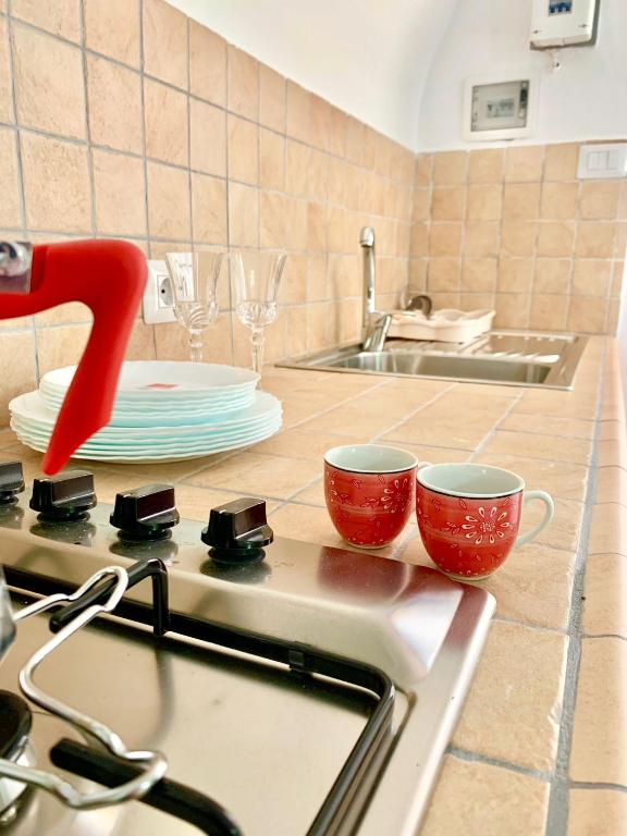 Kuchyňa alebo kuchynka v ubytovaní Bed & Breakfast Acquamarina