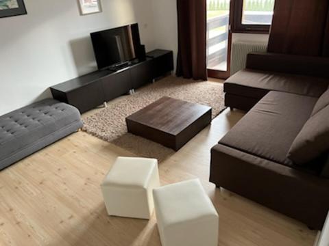 ein Wohnzimmer mit einem Sofa und einem Couchtisch in der Unterkunft Apartma Bohinj in Bohinj