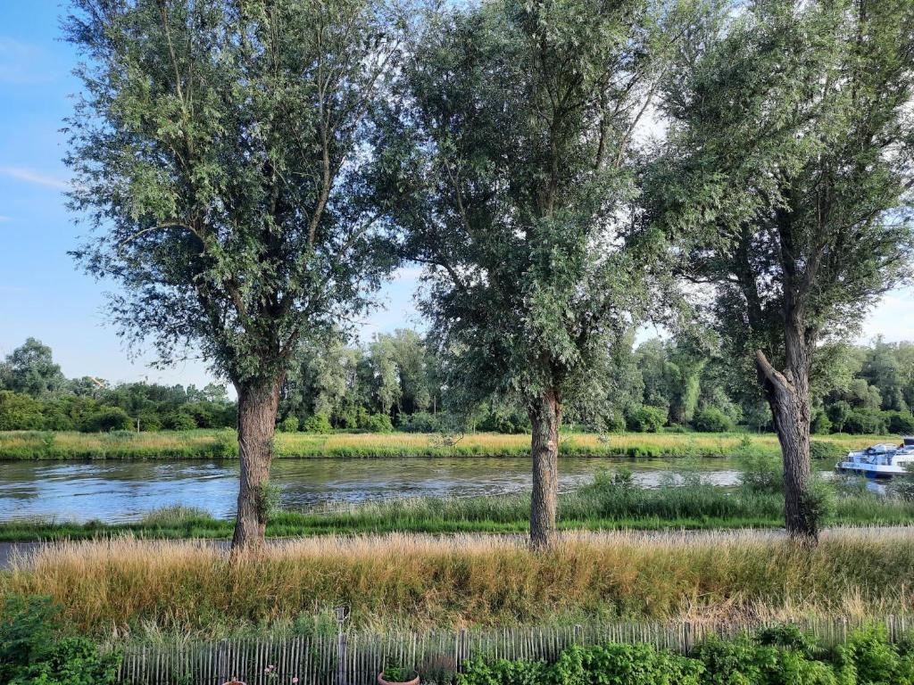 three trees in a field next to a river at B&B Scheldekant in Oudenaarde