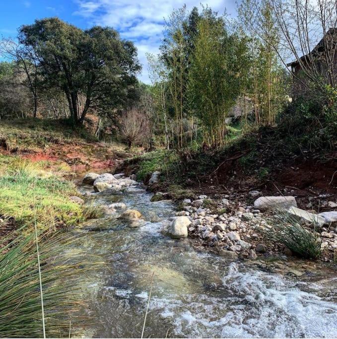 Príroda v okolí apartmánu