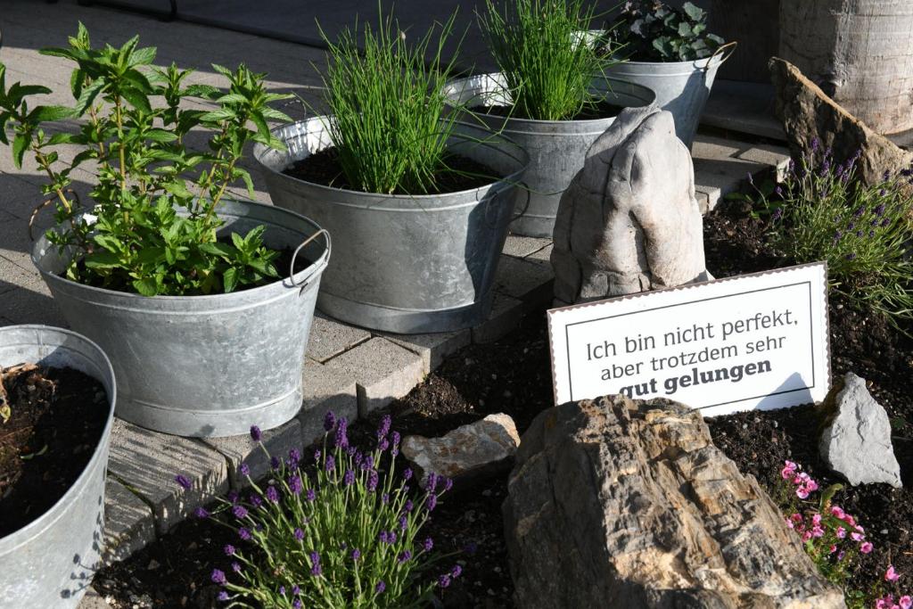 Zahrada ubytování Edelweiß am Öberle