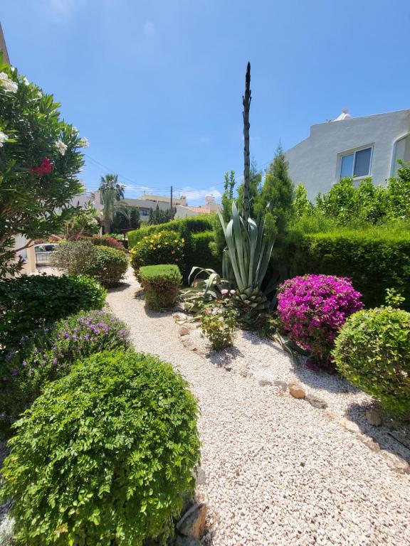 Beautiful villa D Coral Bay