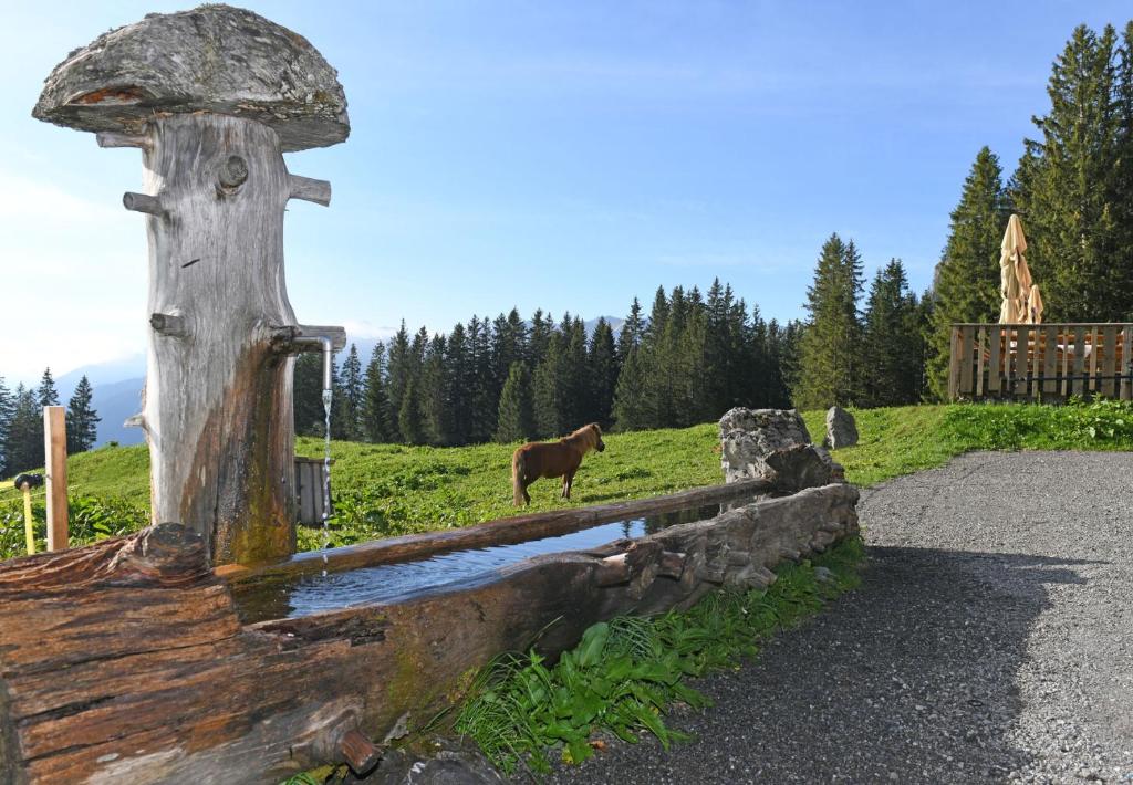 Příroda nedaleko penzionu – hostince