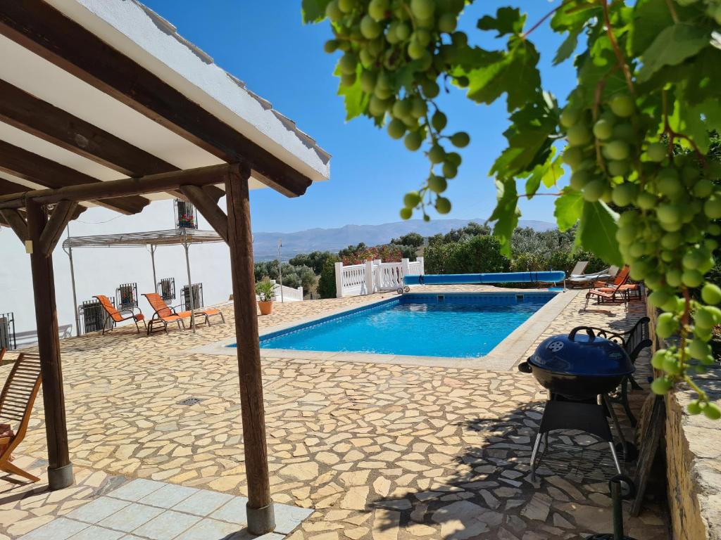 Bed and breakfasts Cortijo Viva La Vida en Granada, Andalucía