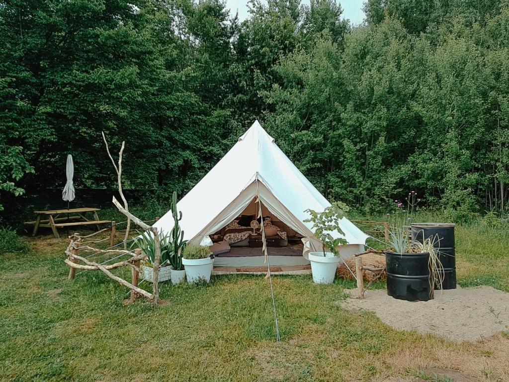 a white tent in a field with potted plants at Wilcze Pole - tu odpoczniesz od świata in Postomino