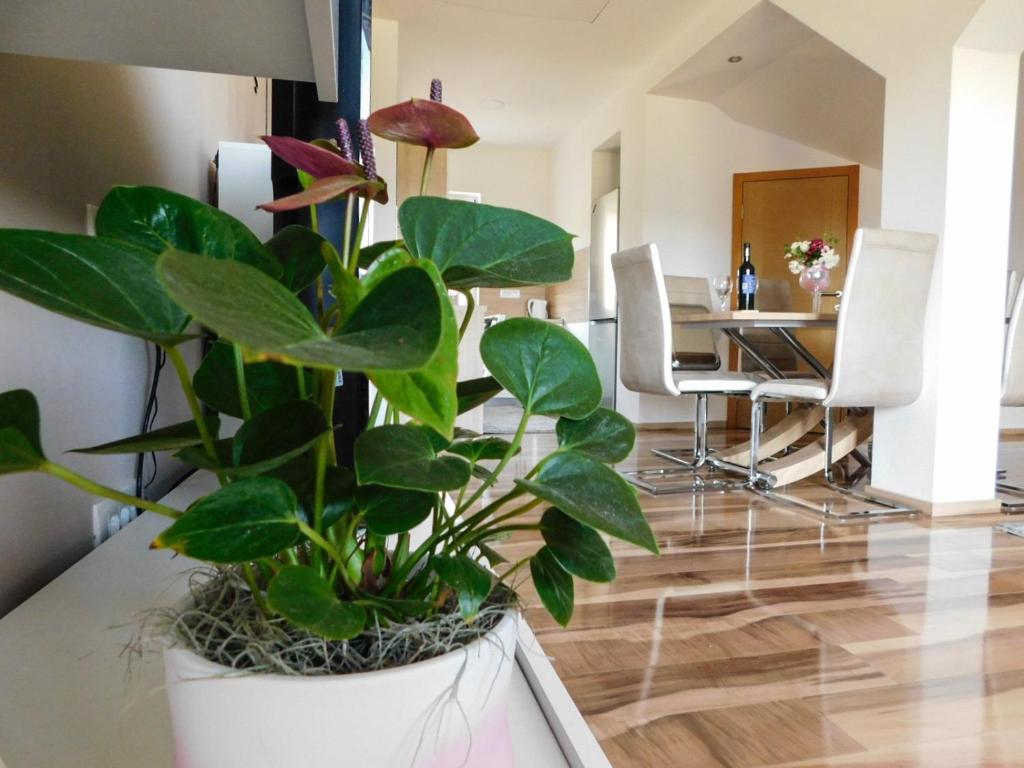 Posezení v ubytování Apartman Lara
