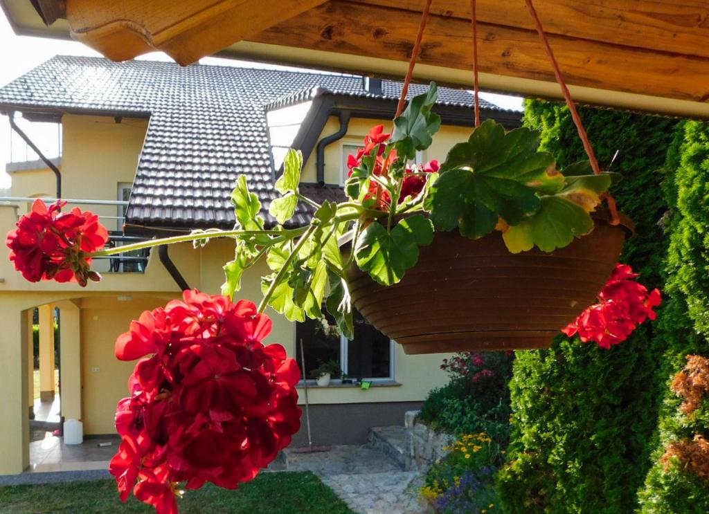 Zahrada ubytování Apartman Lara