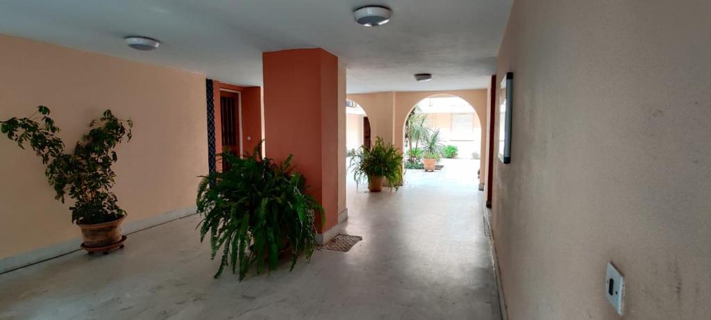 pusty korytarz z doniczkami w budynku w obiekcie Appartement 4 personnes - Argelès-sur-Mer w Argelès-sur-Mer