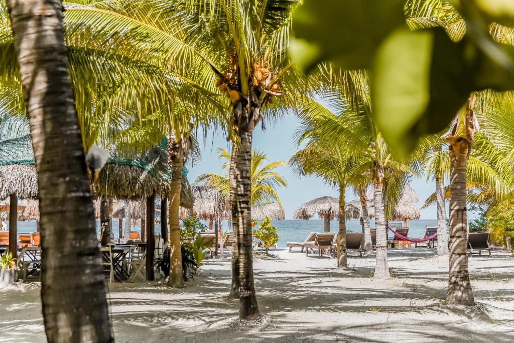 a beach with palm trees and palm trees at Zomay Beachfront Holbox in Holbox Island