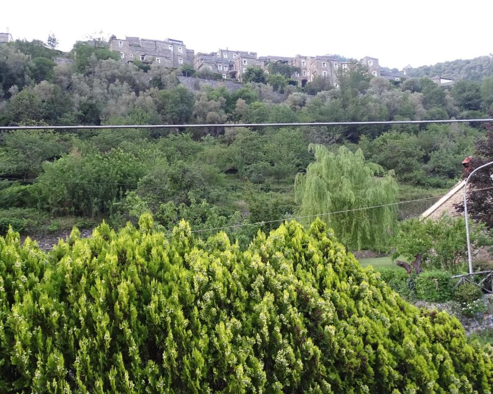 Príroda v okolí apartmánu