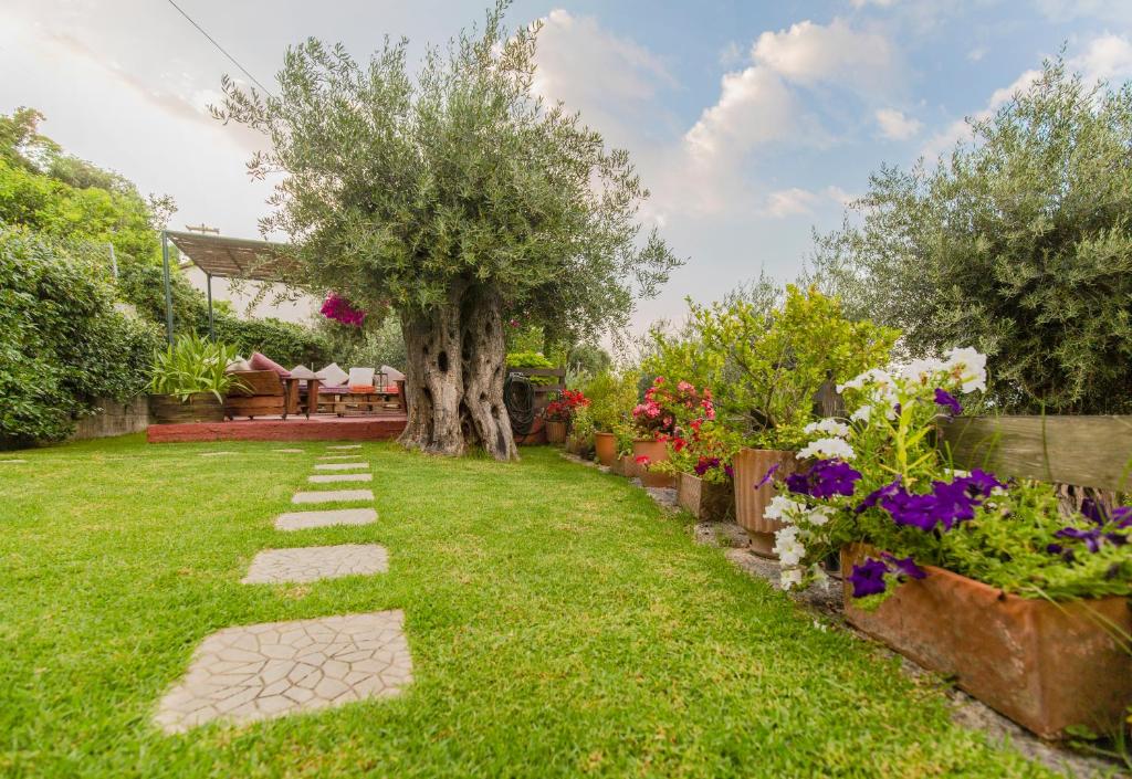 Zahrada ubytování Alesti House with garden and private beach access