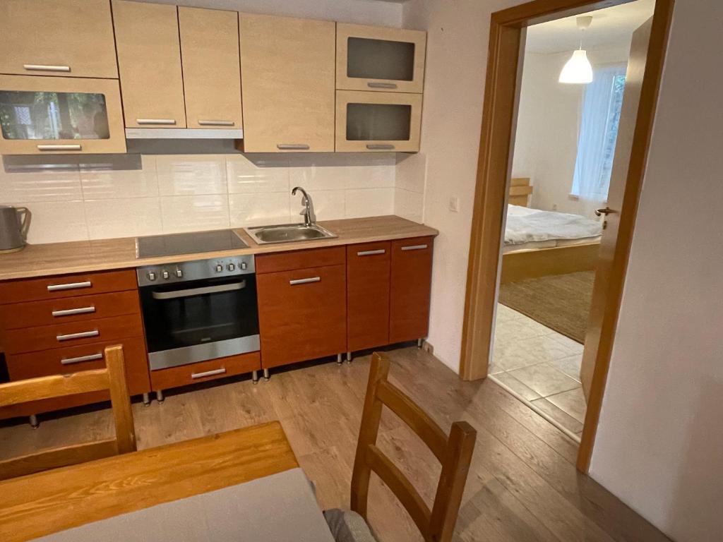 Kuchyňa alebo kuchynka v ubytovaní BONI Apartman