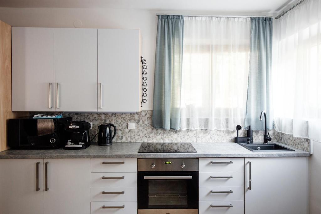 Kuchyňa alebo kuchynka v ubytovaní Csendeskert Wellness Apartments - Garden, grill, chill