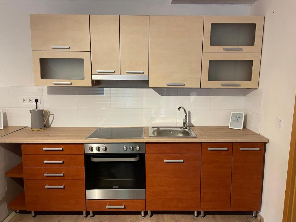 Kuchyňa alebo kuchynka v ubytovaní BONI Apartman