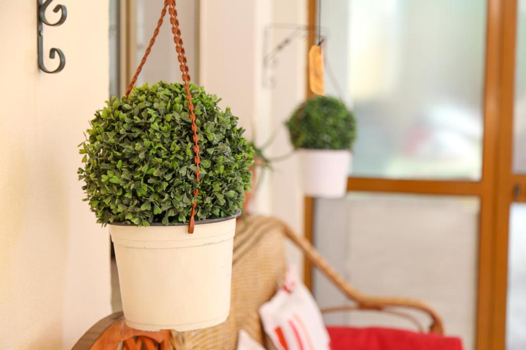 Garden of Happiness'' Apartment - Image 3