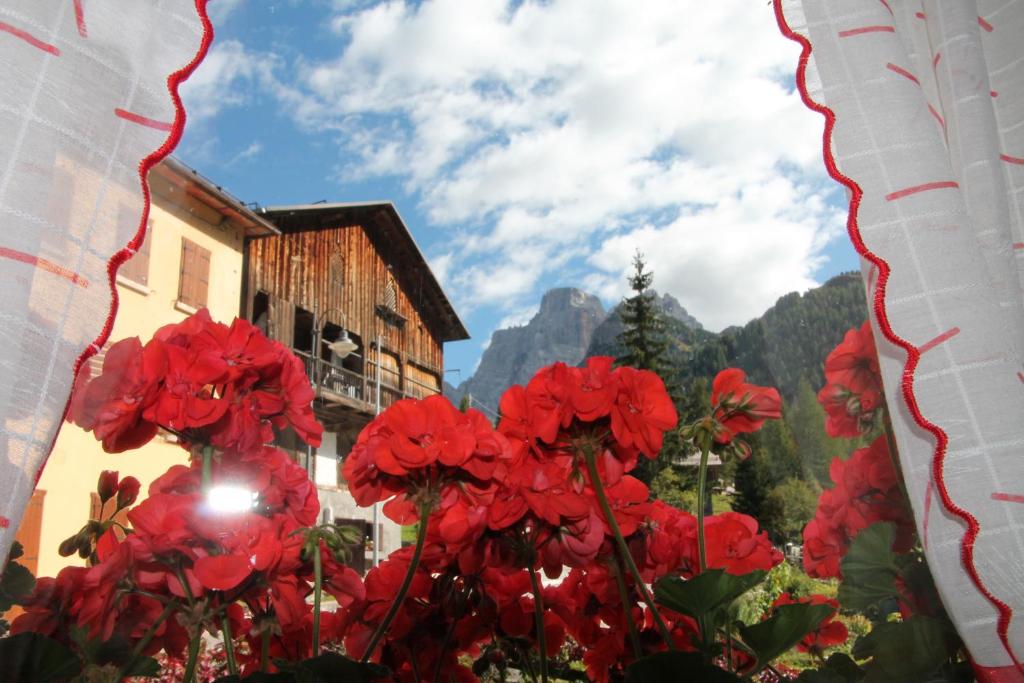 un grupo de flores rojas delante de un edificio en Dolomites Holidays, en Selva di Cadore