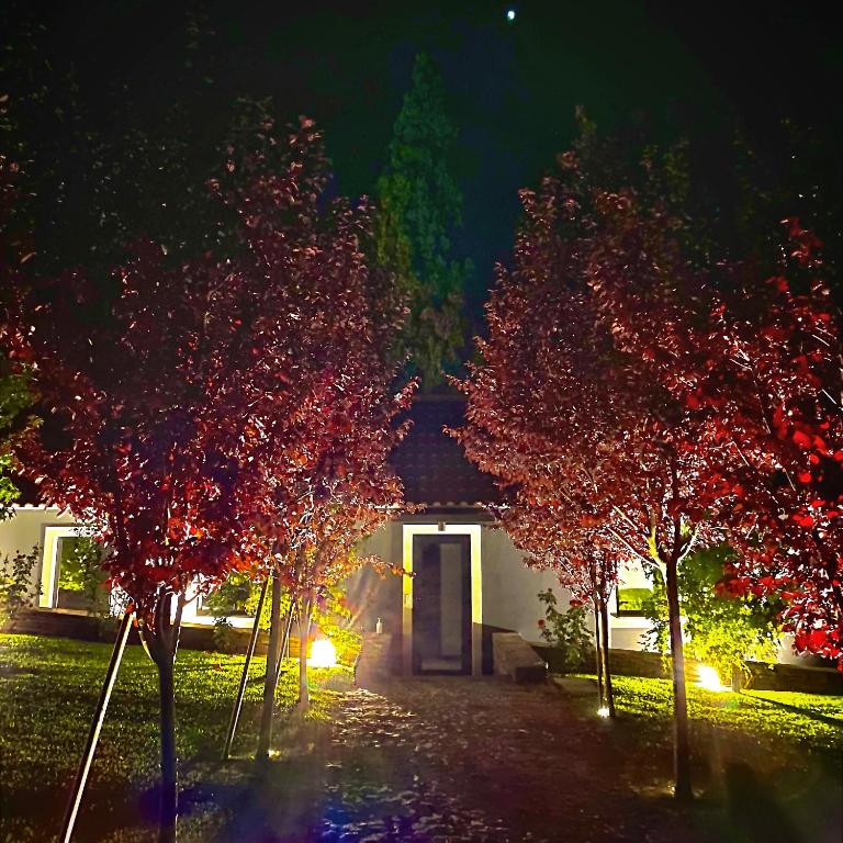 Um jardim no exterior de Quinta da Salada - Turismo Rural