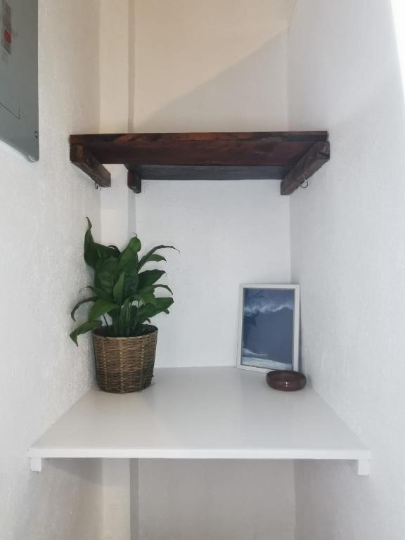 Fotografie z fotogalerie ubytování Yas villas homestay v destinaci General Luna