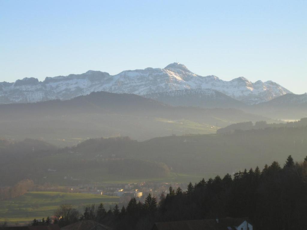 Newstar Hotel (Free Parking) - Resim 40