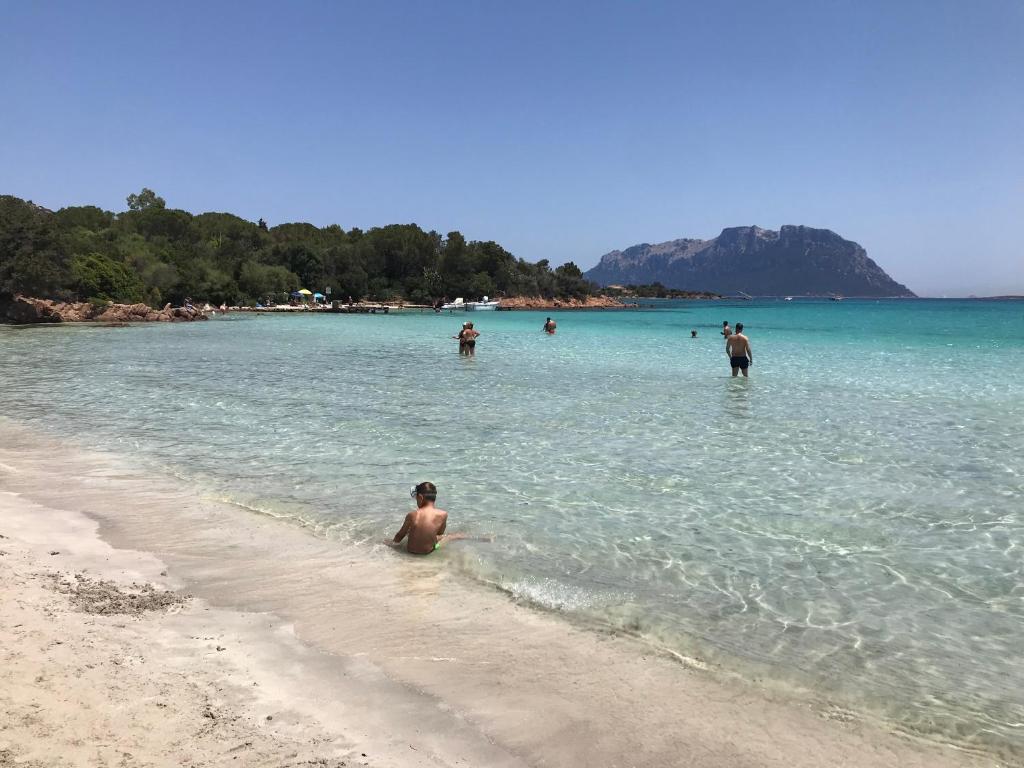 grupa ludzi w wodzie na plaży w obiekcie Olbia House w mieście Olbia