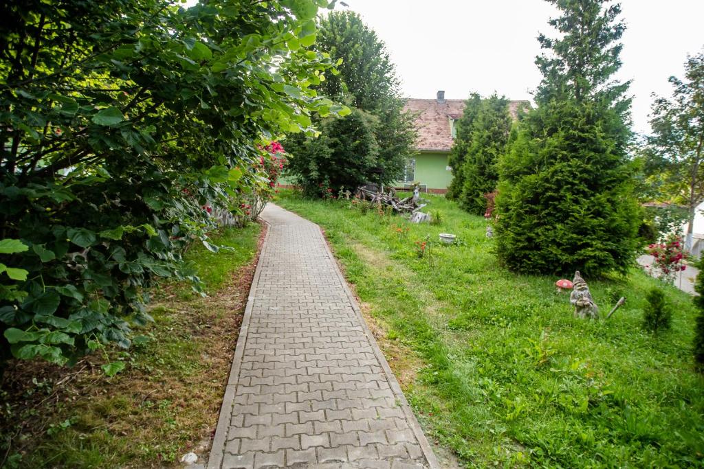 Dumbrăveni的住宿－HOTEL MARION POIANA，花园里的砖路,草地上有一只猫