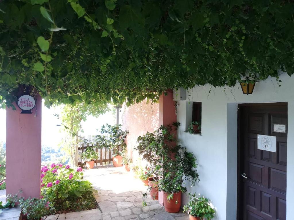 Zahrada ubytování Villa Horizon