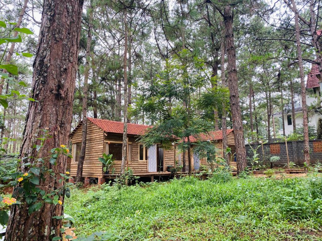 La Maison Homestay Măng Đen, Kon Tum (giá cập nhật 2025)