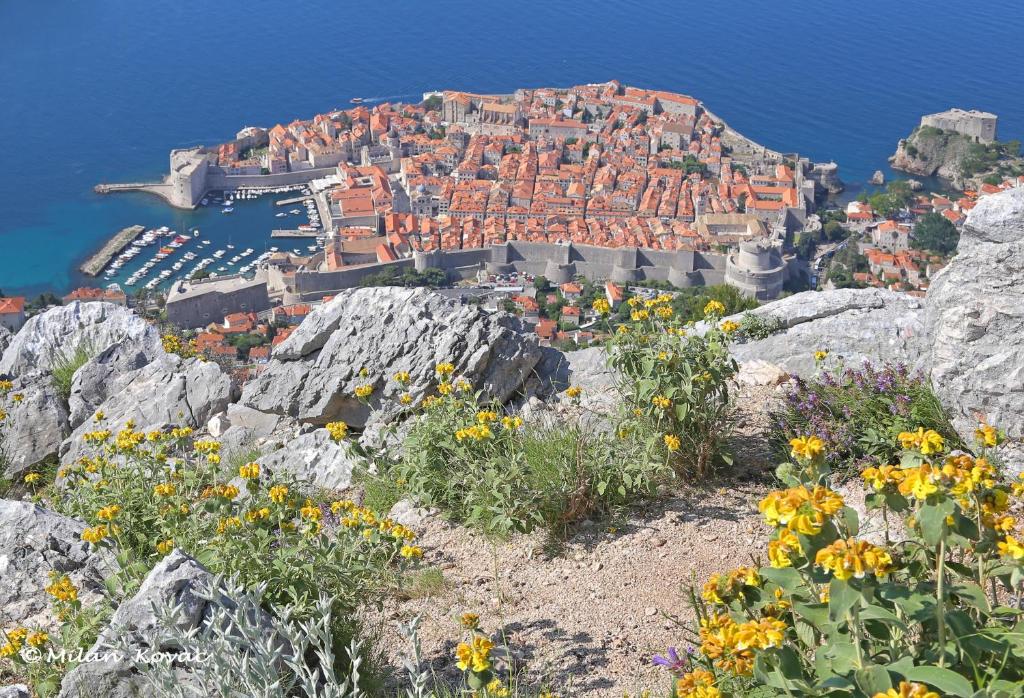 MIRROR apartment, Dubrovnik – Updated 2023 Prices