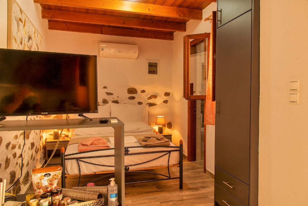 TV a/nebo společenská místnost v ubytování Anemolia Tiny Stone House