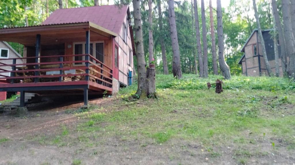 a small cabin in the woods next to a forest at Oleandria- ,, Domek Malinka" nr 35 in Biskupiec
