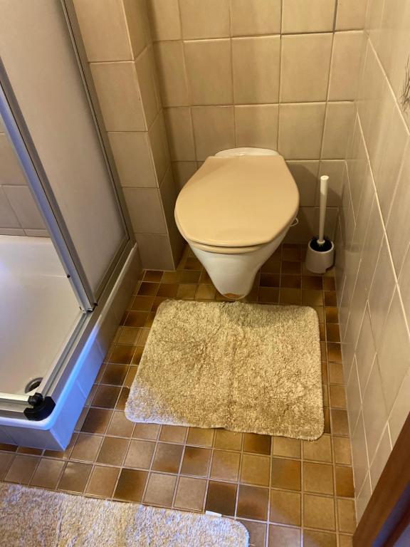 Koupelna v ubytování Haus Sperleiten