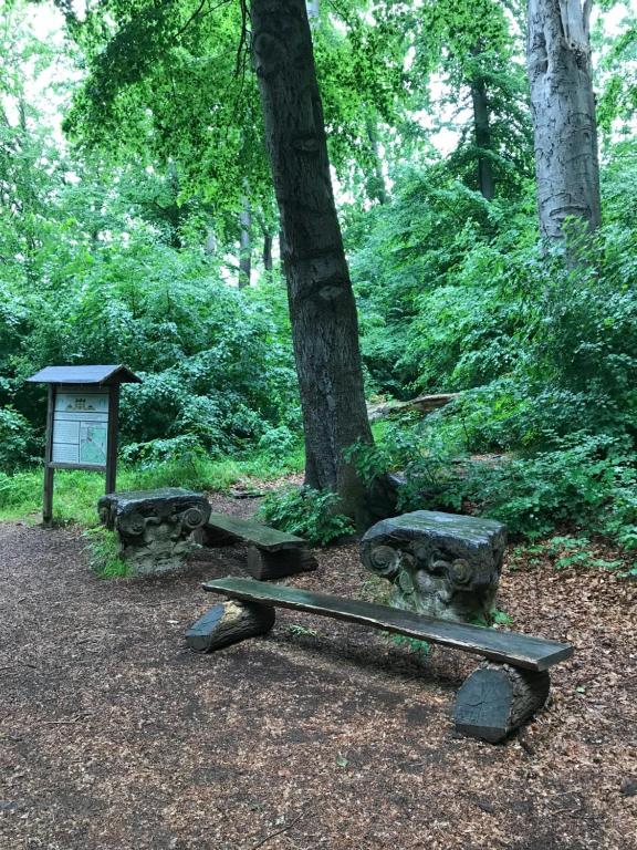 Zahrada ubytování Ferienwohnung Auszeit am Kurpark Bad Berka - Balkon - ruhige Lage- gratis Parkplatz & WLAN