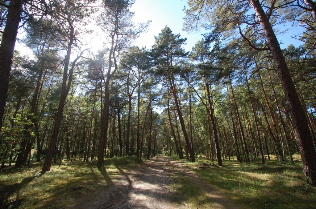 Príroda v okolí apartmánu