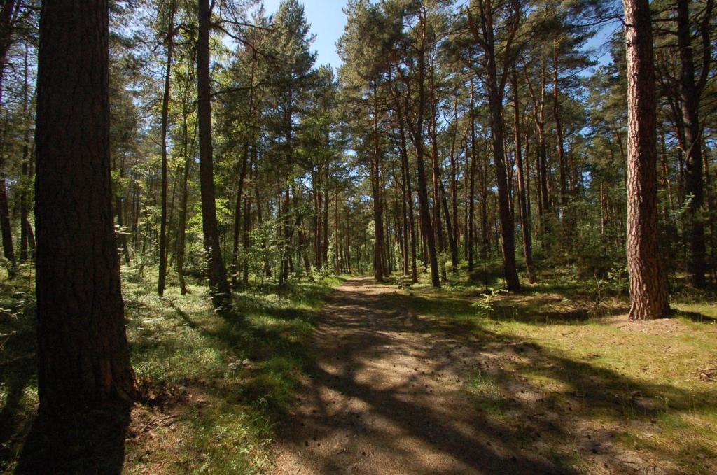 Príroda v okolí apartmánu