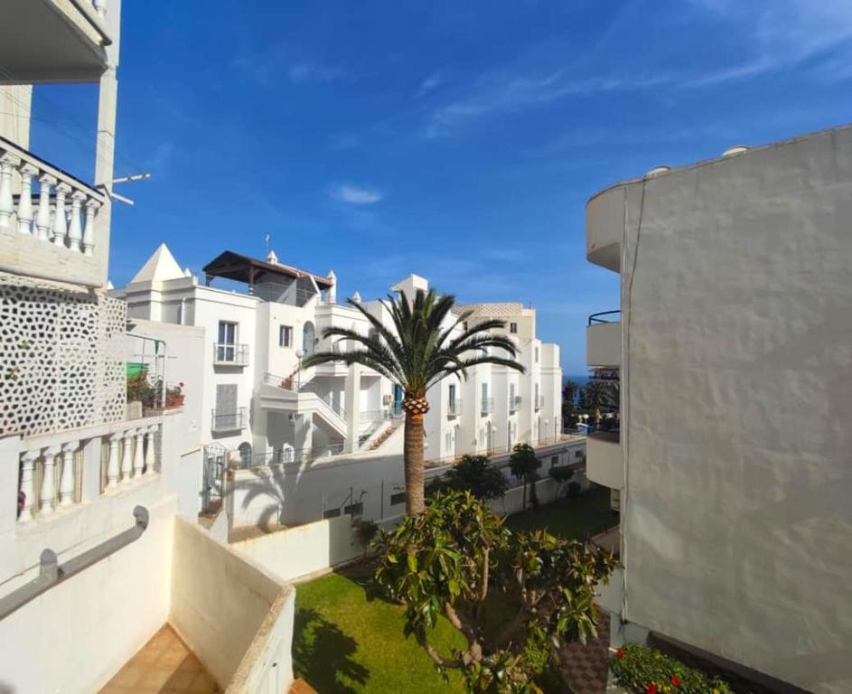 palma w środku miasta z budynkami w obiekcie Moondaka w mieście Nerja