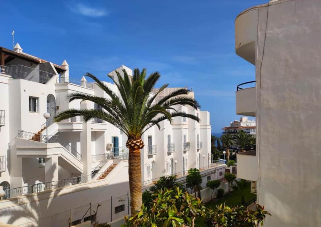 palma przed białym budynkiem w obiekcie Moondaka w mieście Nerja