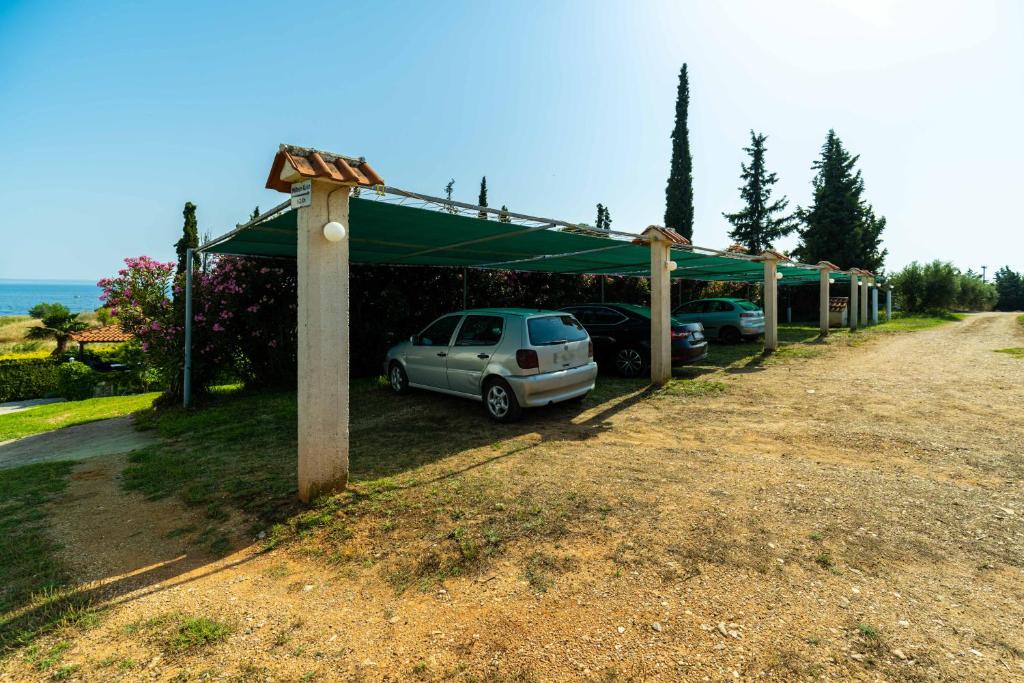 Příroda nedaleko apartmánu