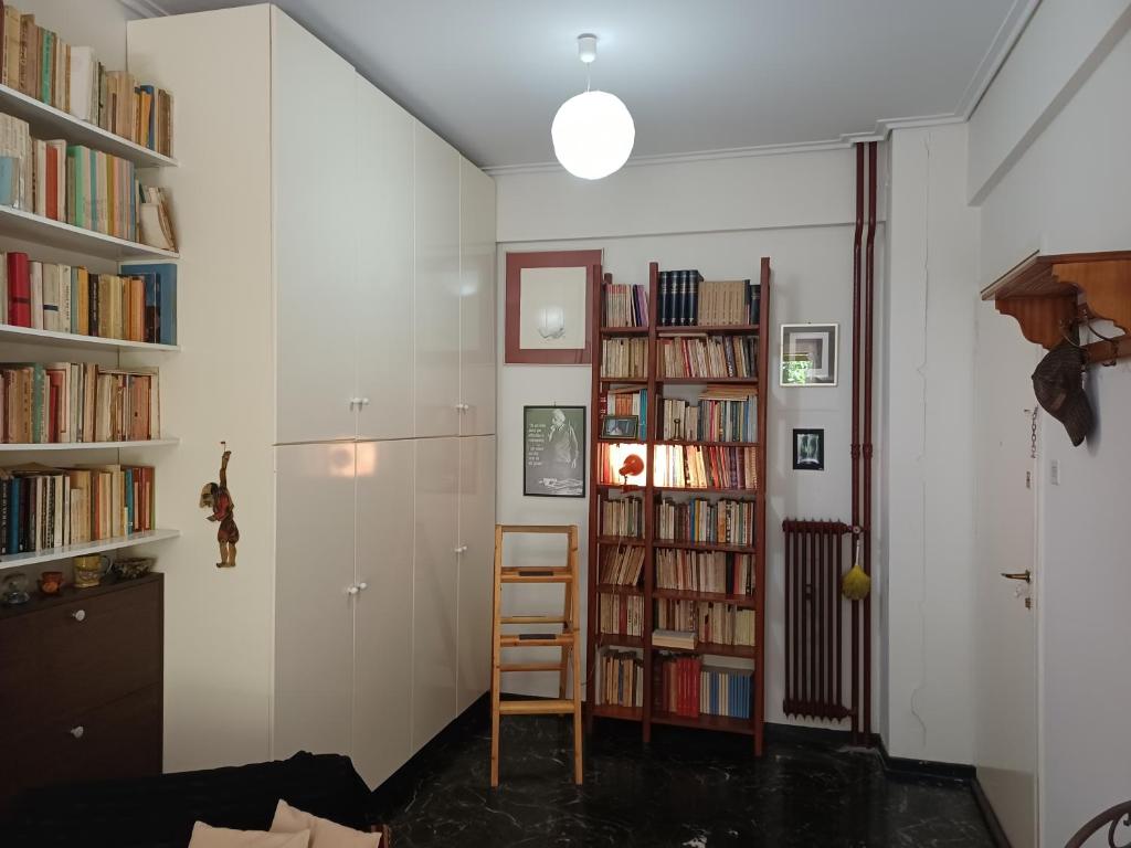 The library in Az apartmant