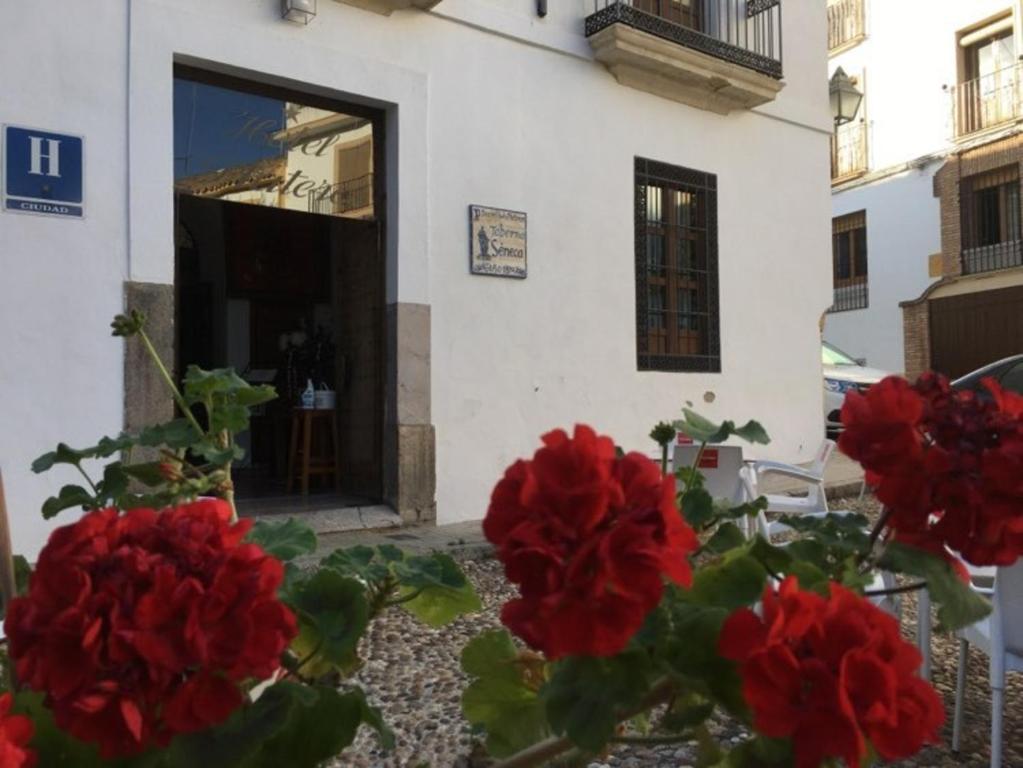 Hotel Plateros - Resim 10