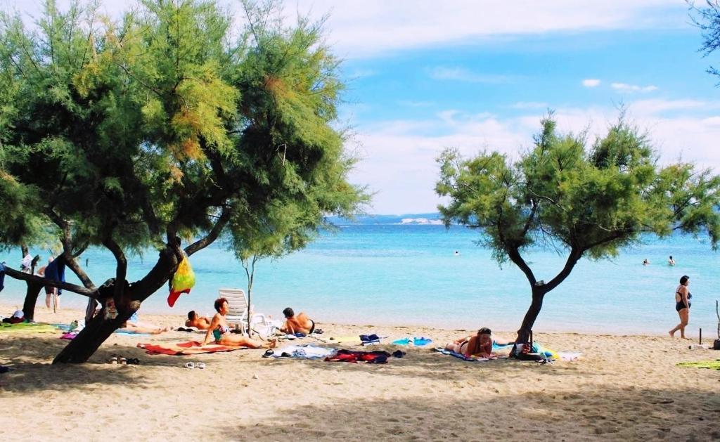 Príroda v okolí apartmánu