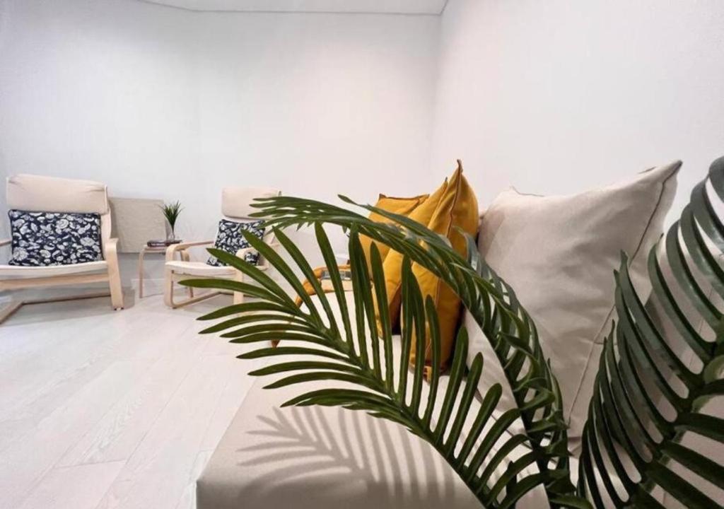 ein Wohnzimmer mit einem Sofa und einer Pflanze in der Unterkunft Casa do Gaspar in Aveiro