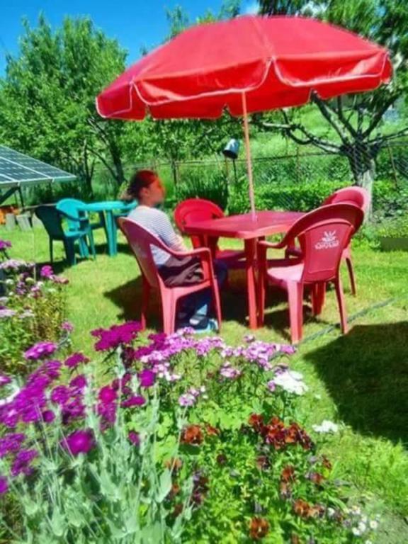 Zahrada ubytování Guest House Nazo