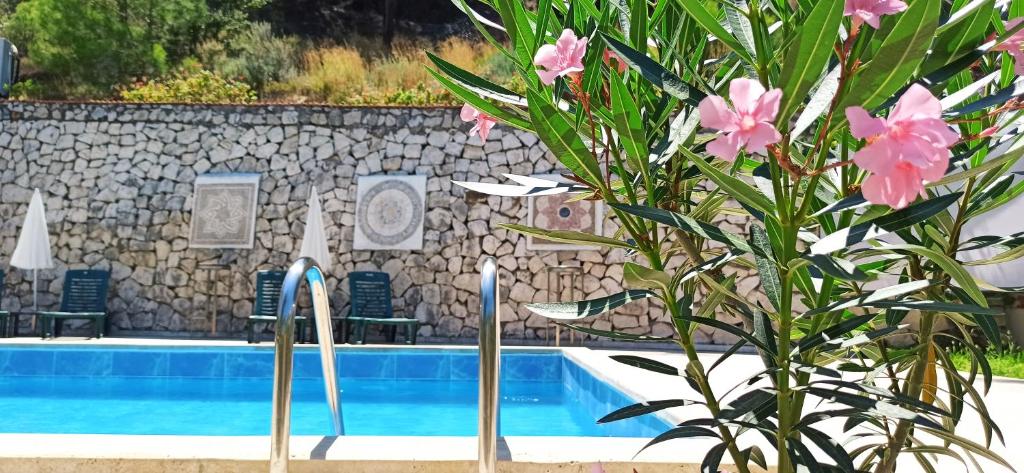 a resort swimming pool with pink flowers in the foreground at Swiss Eviniz Hotel in Adrasan