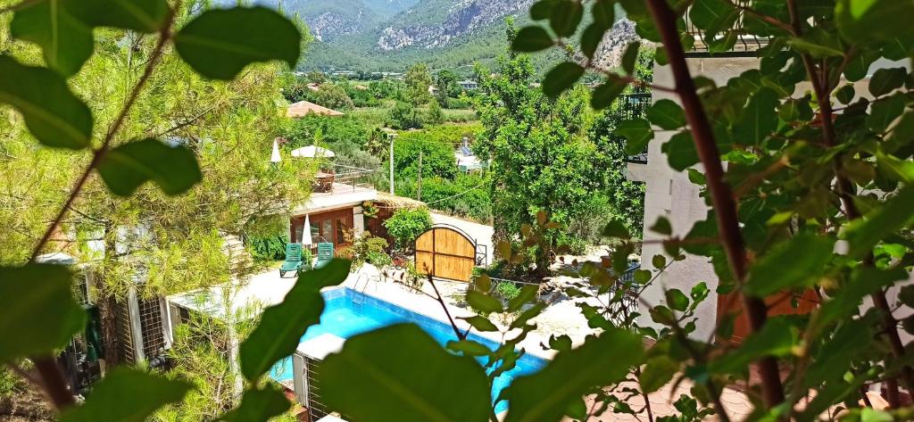an aerial view of a house with a swimming pool at Swiss Eviniz Hotel in Adrasan