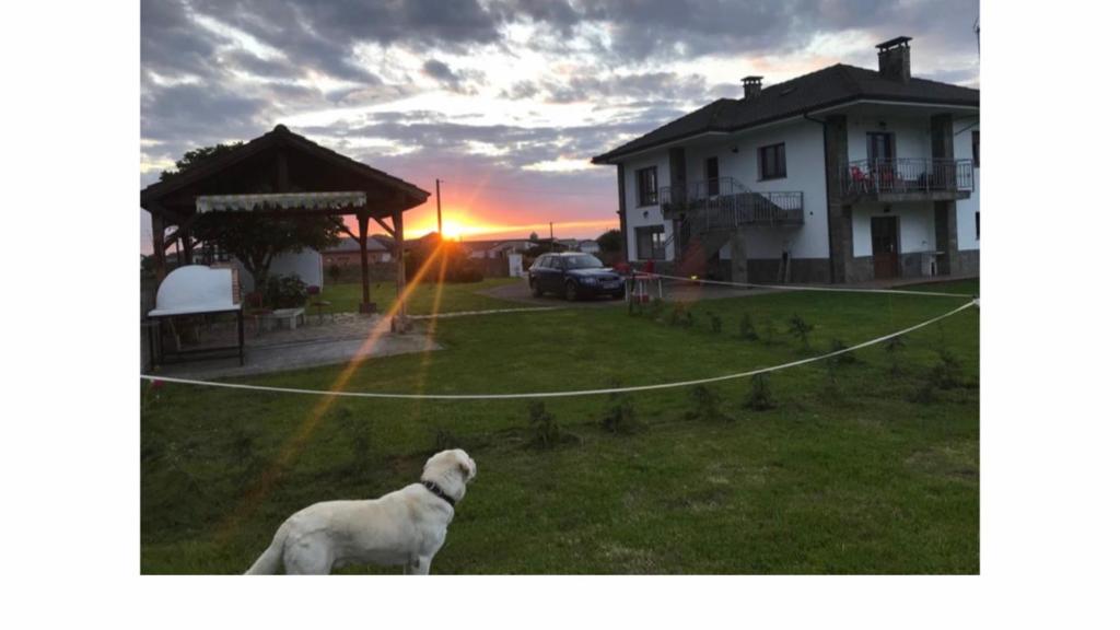 Casas y chalets El Rancho Busto - Luarca en Busto, Asturias