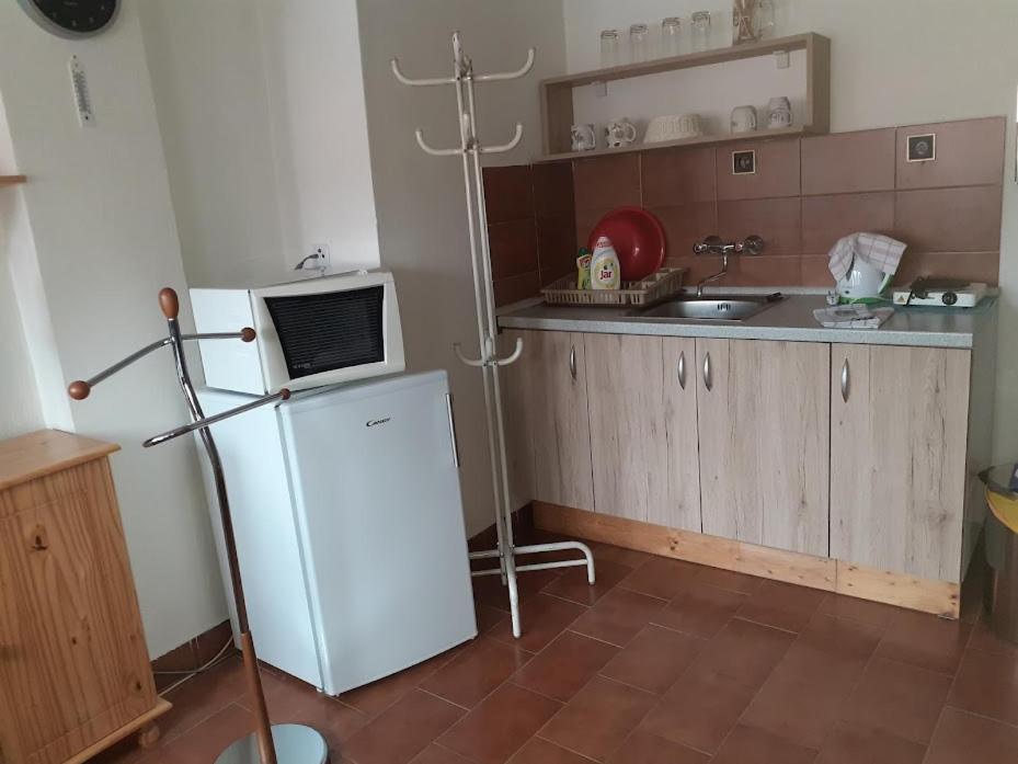 Kuchyň nebo kuchyňský kout v ubytování Penzion Na Zámostí Malenice